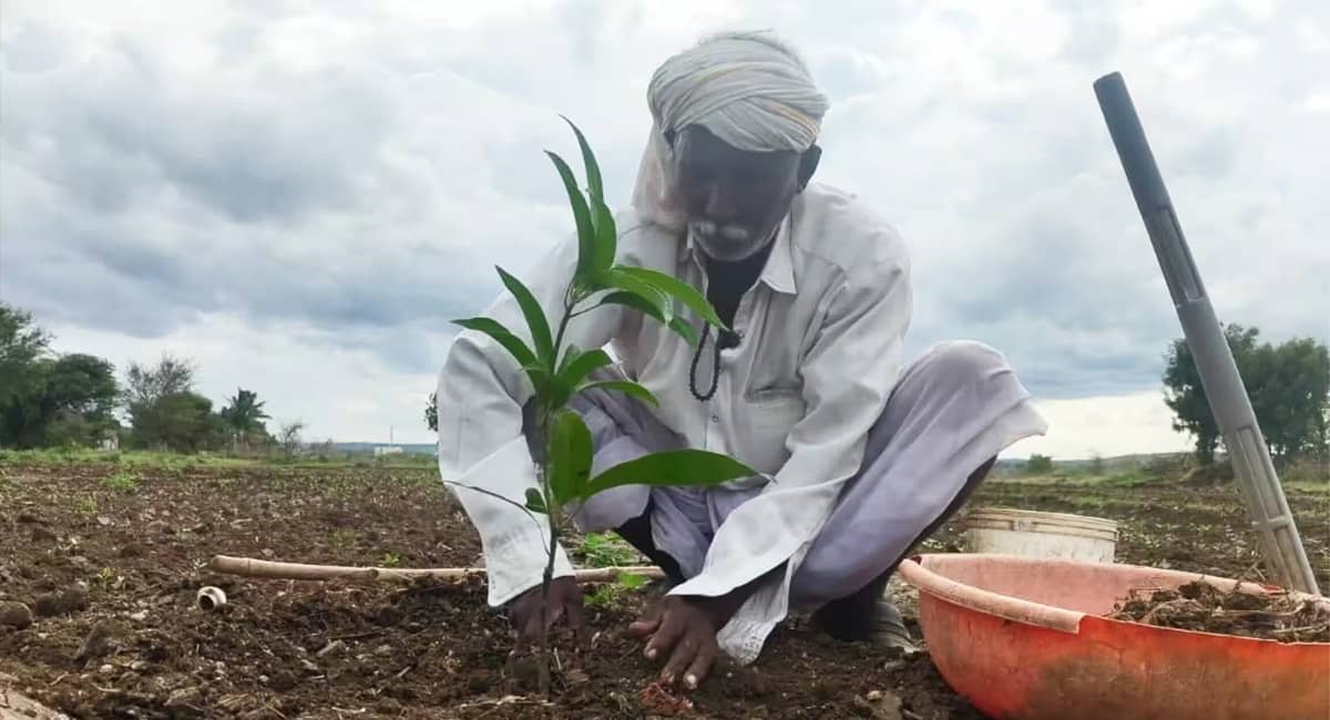 Greening India: Eternal Celebrates 17 Years with 2.5 million trees