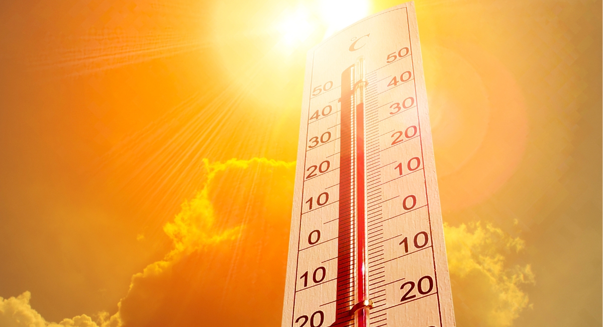 Rising Heat Puts Millions of India’s Jobs at Risk: World Bank